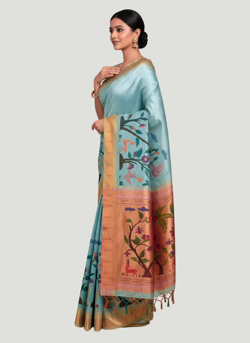 PAITHANI SAREE - Master