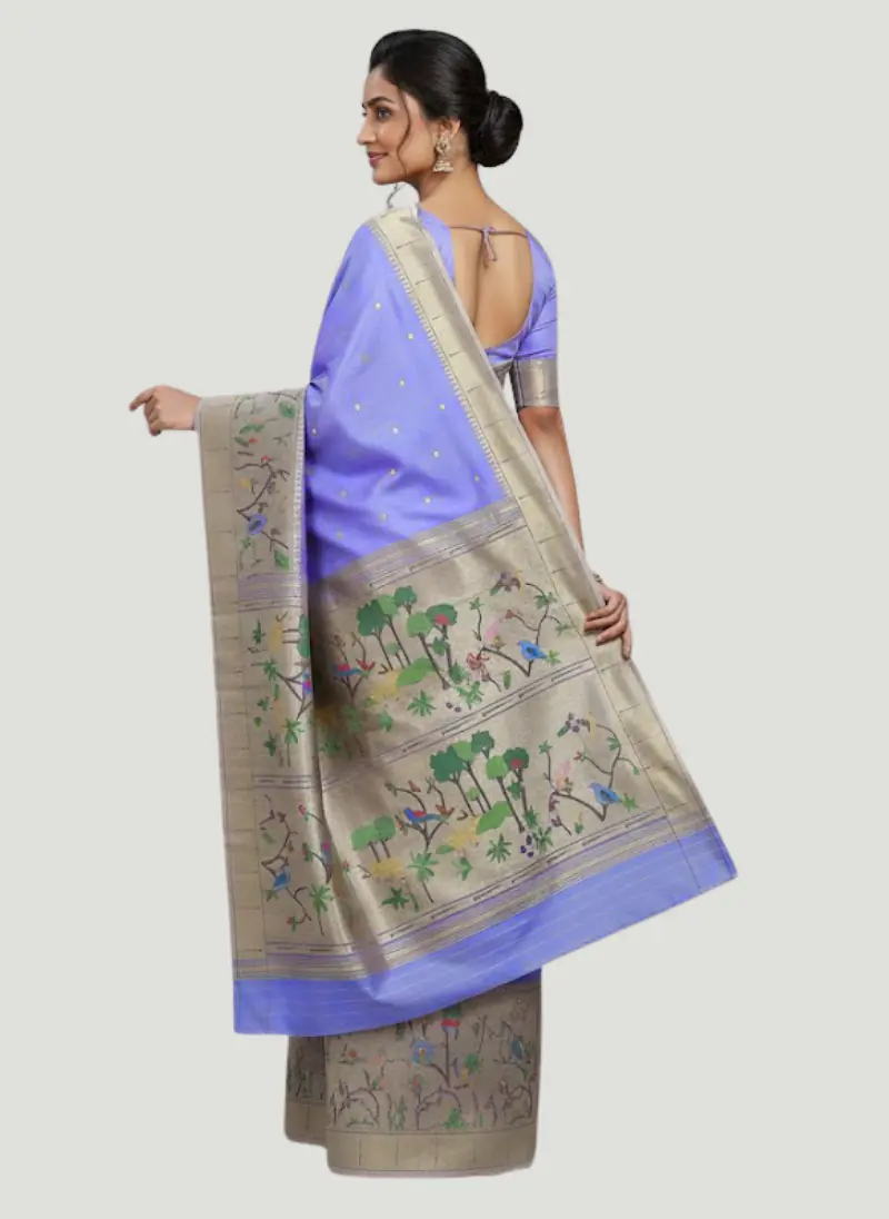 PAITHANI SAREE - Master