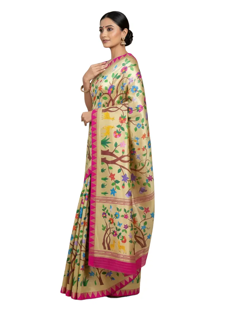 PAITHANI SAREE - Master