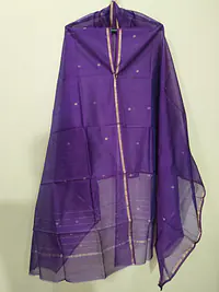 CHANDERI DUPATTA - Master