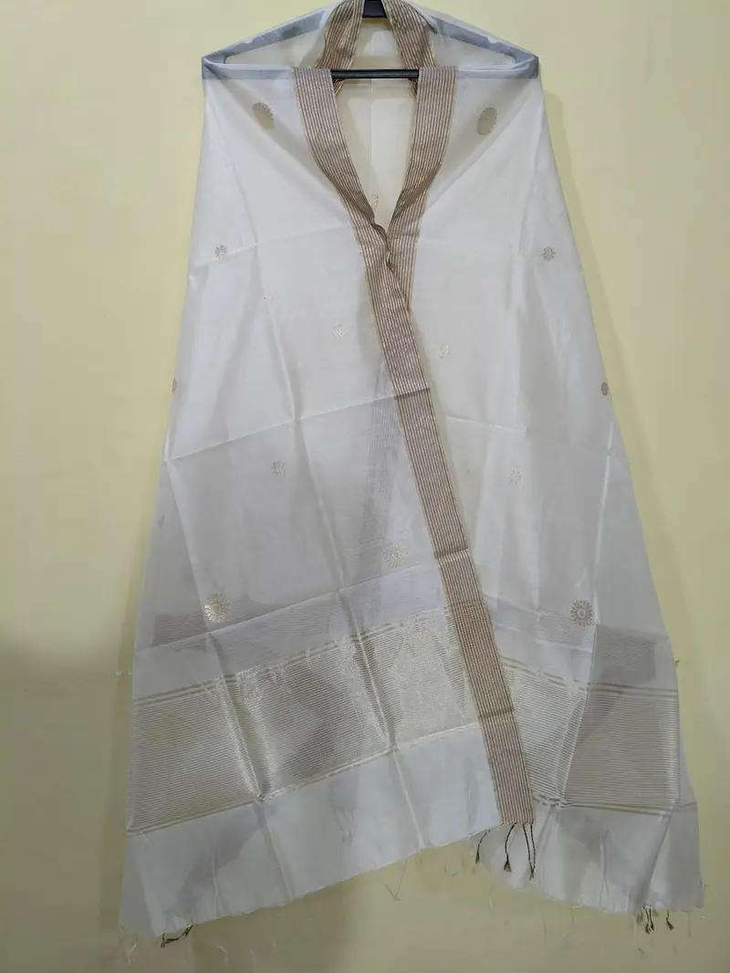 CHANDERI DUPATTA - Master