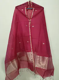 CHANDERI DUPATTA - Master