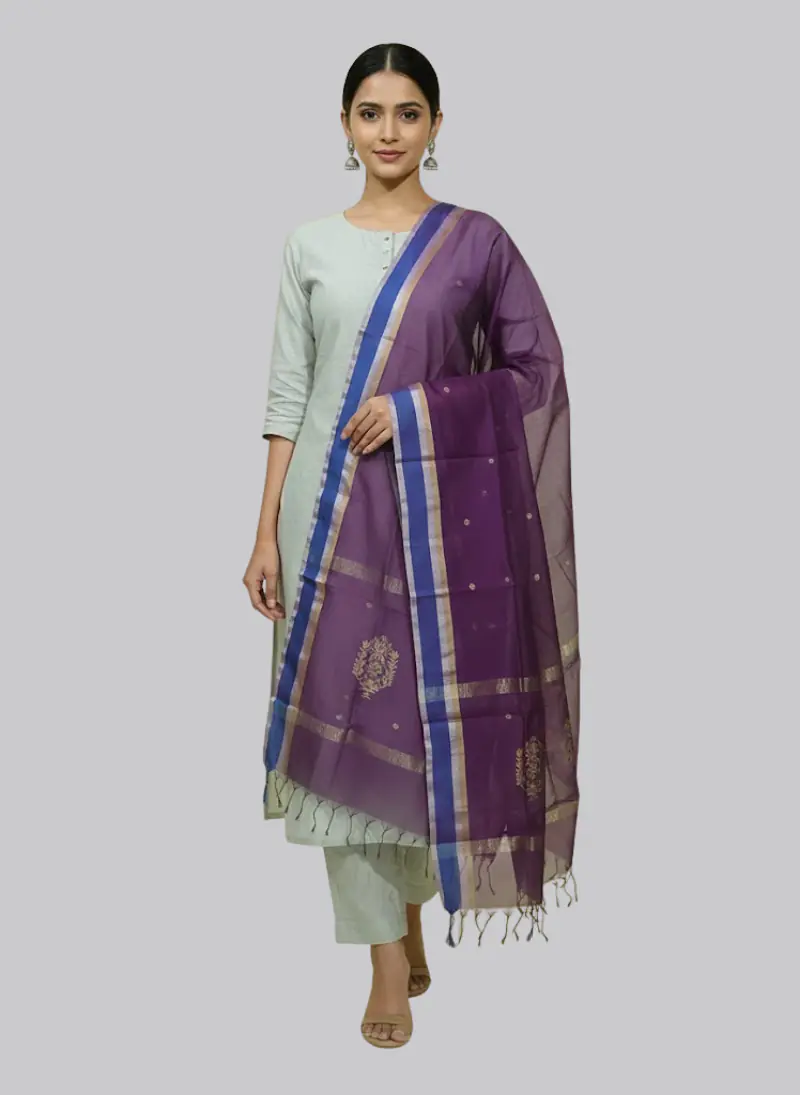 CHANDERI DUPATTA - Master