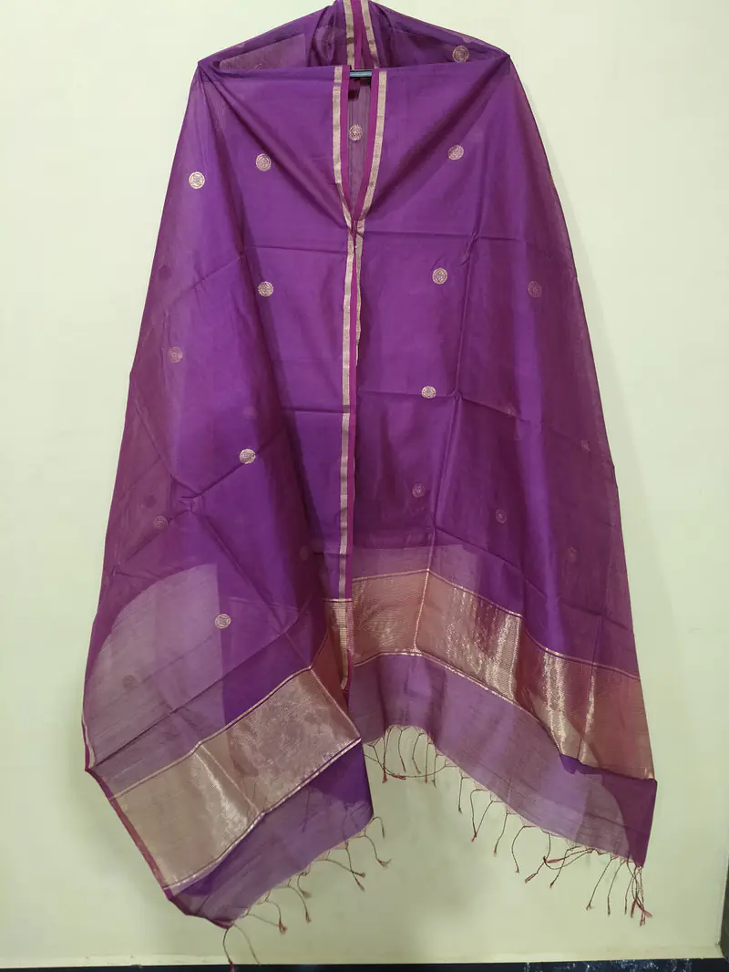 CHANDERI DUPATTA - Master
