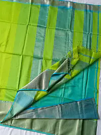 MAHESWARI HANDLOOM COTTON SILK SAREE - Master