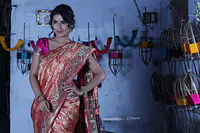 Ashavali Saree, Gujarat 3 - Master