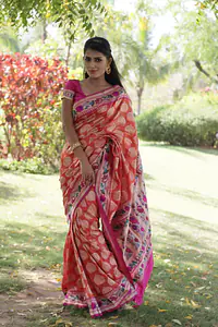 Ashavali Saree, Gujarat 4 - Master