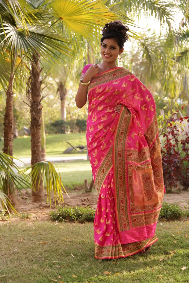 Ashavali Saree, Gujarat 6 - Master
