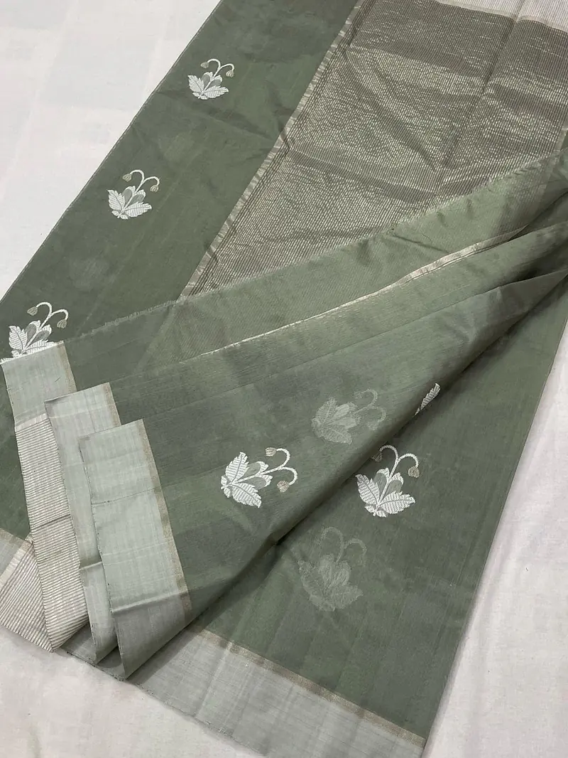 CHANDERI PATTU SILK - Master