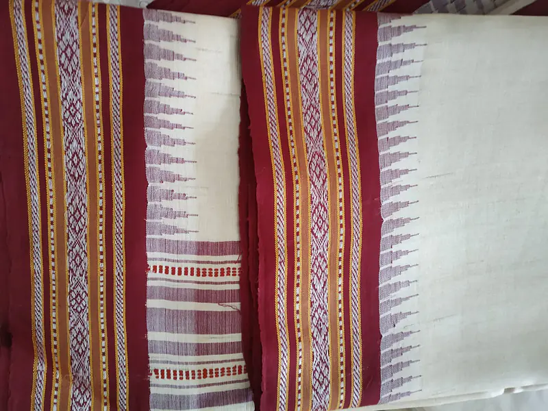 Bhandara Tassar Saree - Master