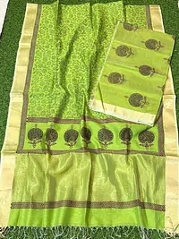 Maheshwar Saree - Master