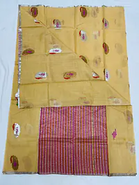 Kota Doria Saree - Master
