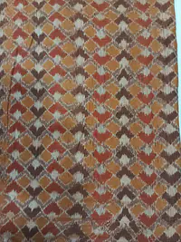 Sambalpuri lkat handwovem fabric - Master
