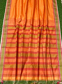 Maheshwar Saree - Master