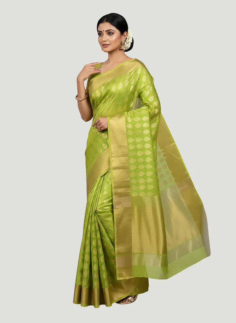 CHANDERI COTTON SILK SAREE - Master