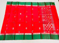 Kota Doria Saree - Master
