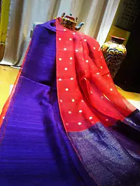 Santipore Saree - Master