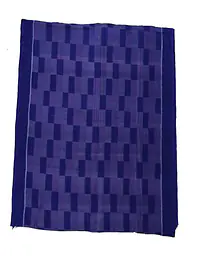 Sambalpuri lkat handwovem fabric - Master