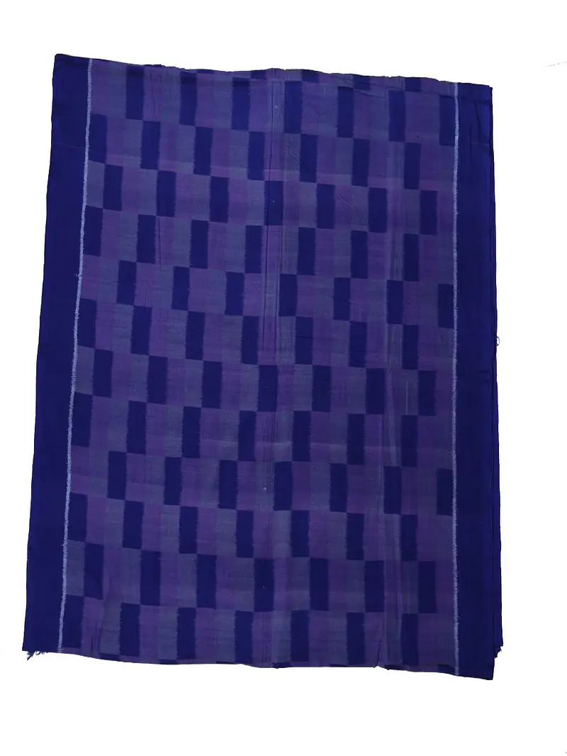 Sambalpuri lkat handwovem fabric - Master