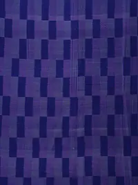 Sambalpuri lkat handwovem fabric - Master