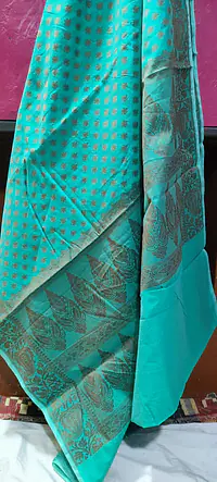 Banarasi Saree - Master